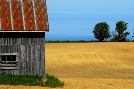 Barn in a field