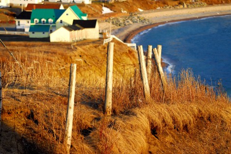 Paysage automnal, bord de mer