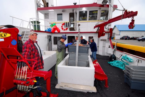 Bateau de pêche, pêcheurs