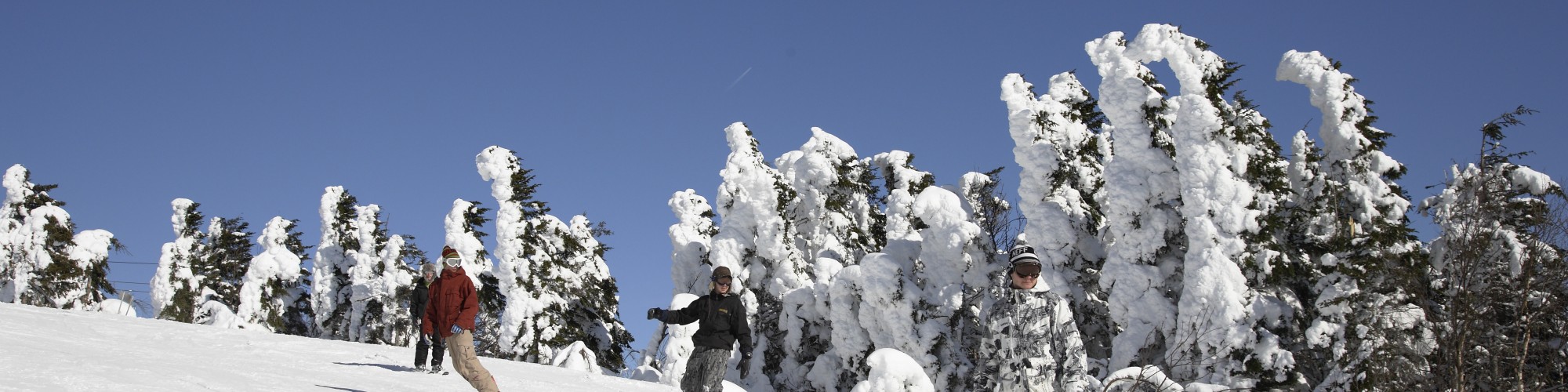 People snowboarding and skiing