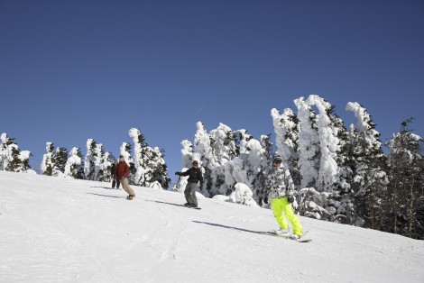 Personnes qui font de la planche à neige et du ski alpin