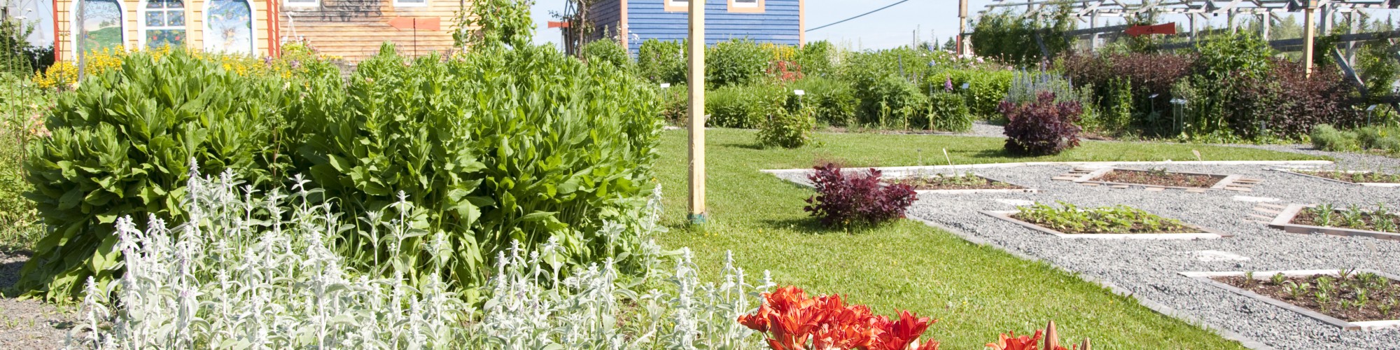 Flowers, garden