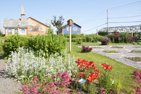 Fleurs, jardin