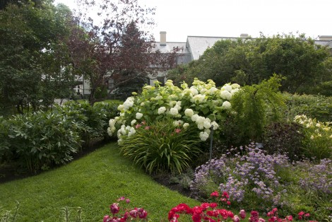 Jardin de fleurs