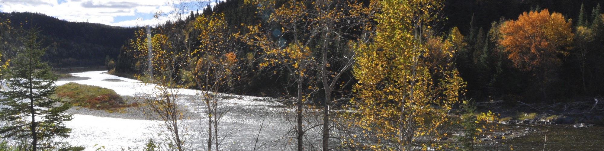 Rivière, paysage automnal