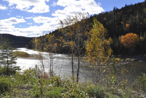 Rivière, paysage automnal