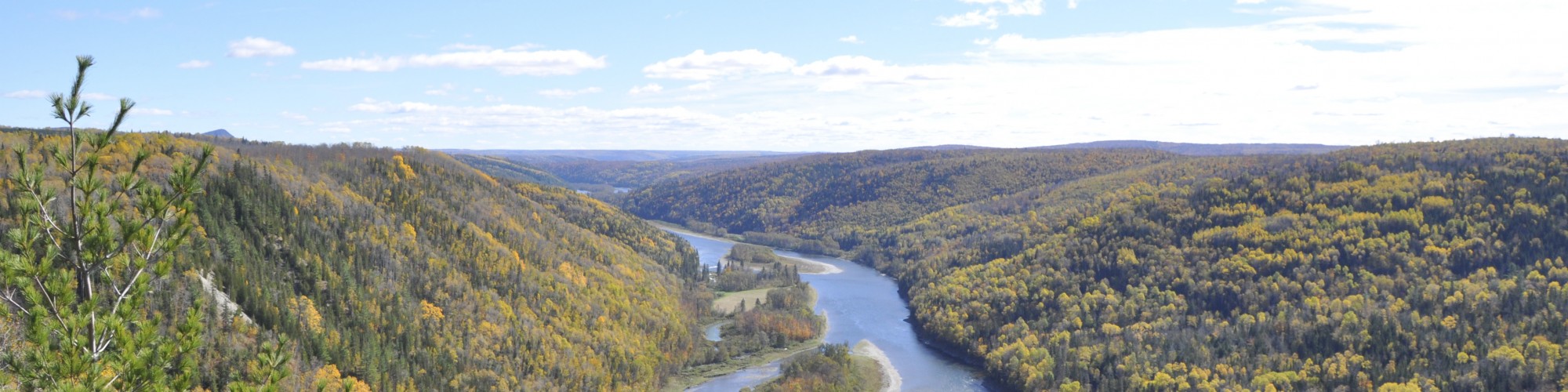 Rivière dans un paysage automnal