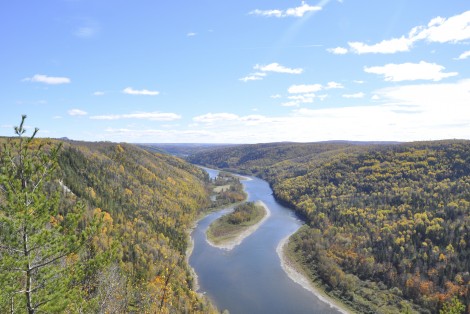 Rivière dans un paysage automnal