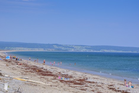 Landscape, beach