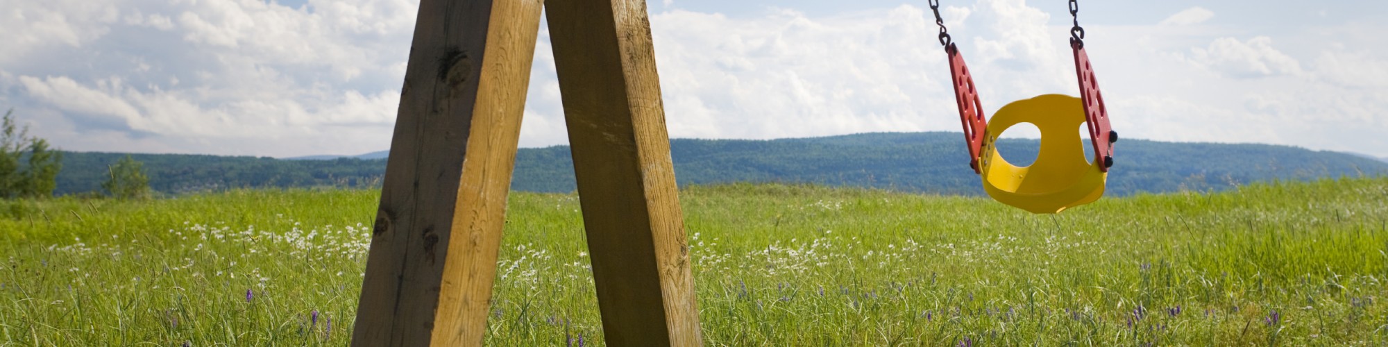 Swinging seat in a field