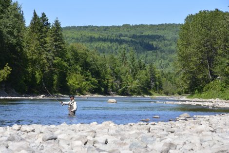 Pêcheur rivière matane